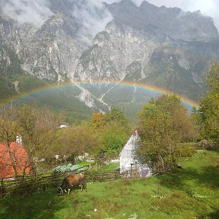 Bed and Breakfast Bujtina Milani Shkodra Exterior foto