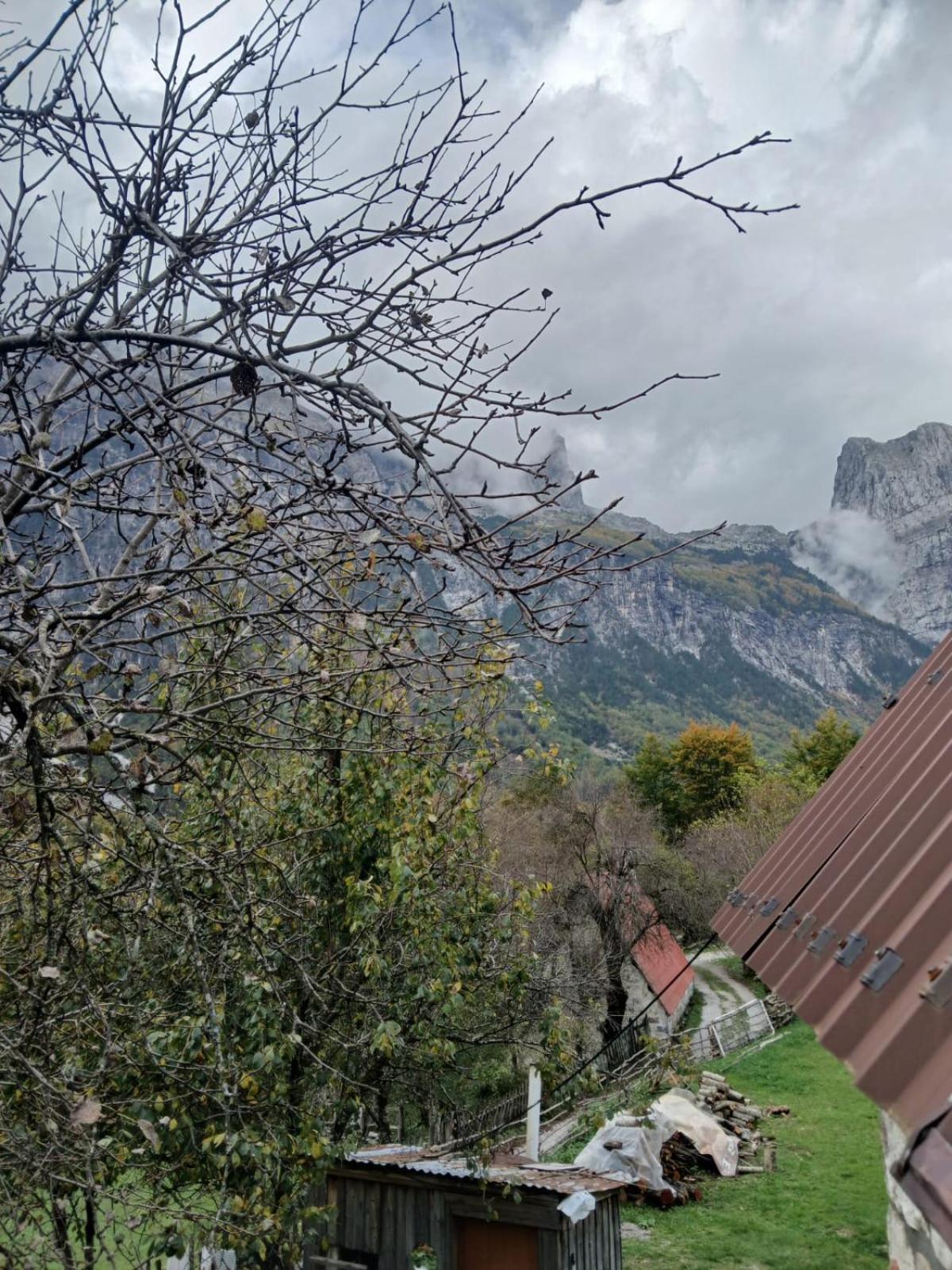 Bed and Breakfast Bujtina Milani Shkodra Exterior foto
