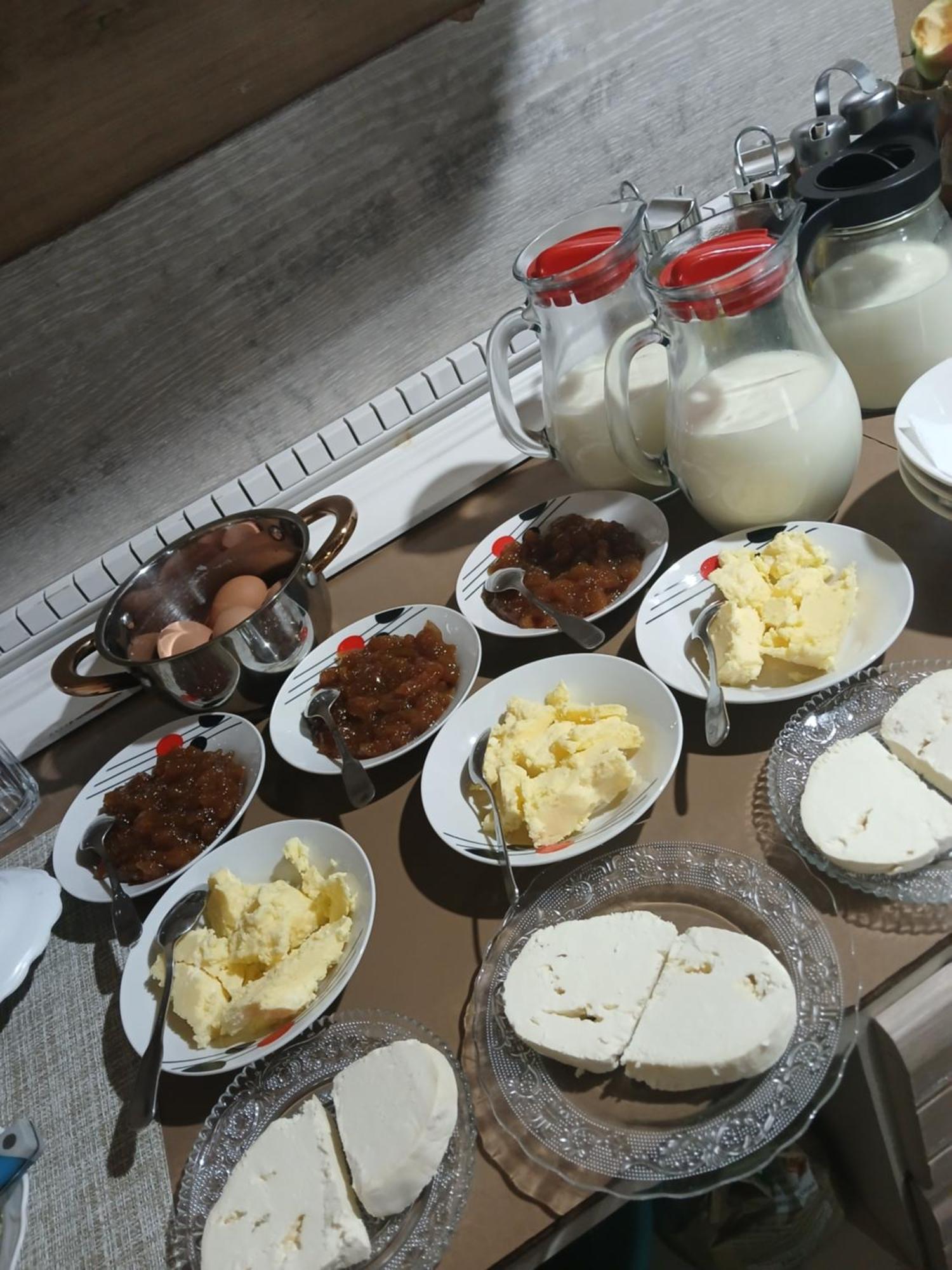 Bed and Breakfast Bujtina Milani Shkodra Exterior foto