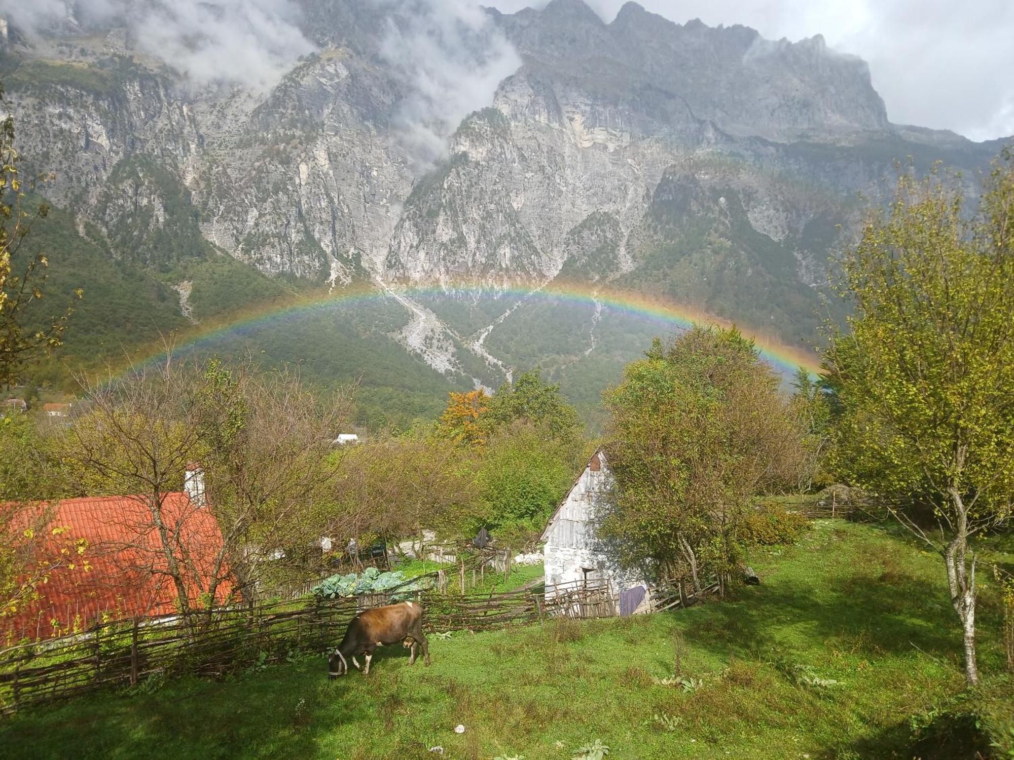 Bed and Breakfast Bujtina Milani Shkodra Exterior foto
